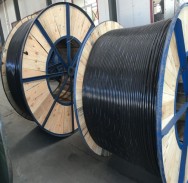 High-Tensile Prestressing Hot-Dipped Galvanized Steel Strand 04